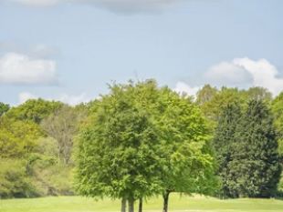 MANNINGS HEATH GOLF CLUB