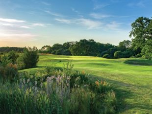 HORSHAM GOLF CLUB