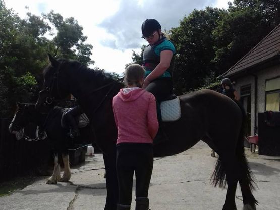 Horse discount boarding stables
