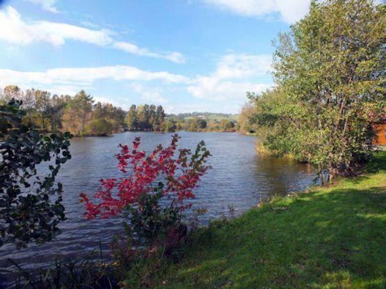 Fishing in Pontarddulais - Swansea - White Spring Fishery