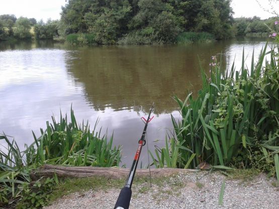 BAYLIS POOLS