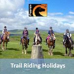 FREEREIN RIDING HOLIDAYS